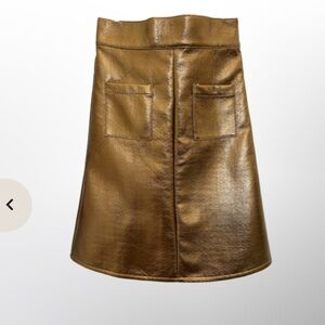 Never A Wallflower Metallic Gold A-Line Skirt